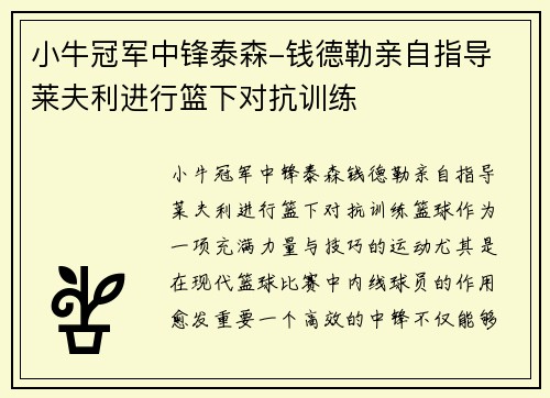 小牛冠军中锋泰森-钱德勒亲自指导 莱夫利进行篮下对抗训练