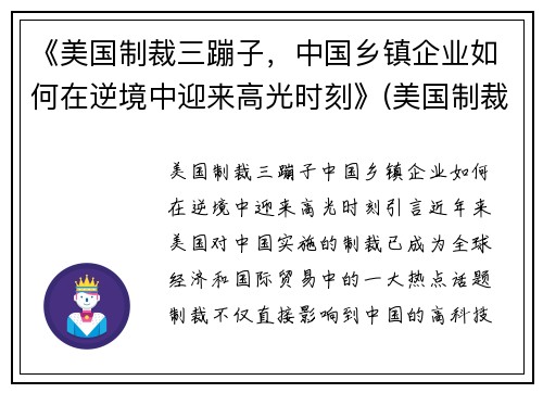 《美国制裁三蹦子，中国乡镇企业如何在逆境中迎来高光时刻》(美国制裁34家)